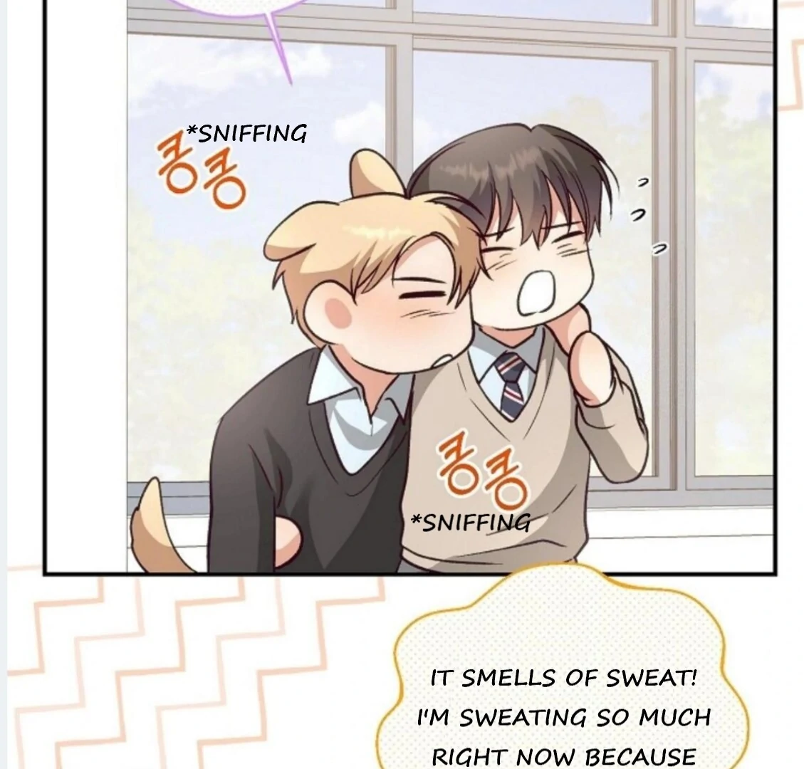 Dandelion Flower Observation Diary ( NOSY X PARADISE ) - Chapter 13 manhwa