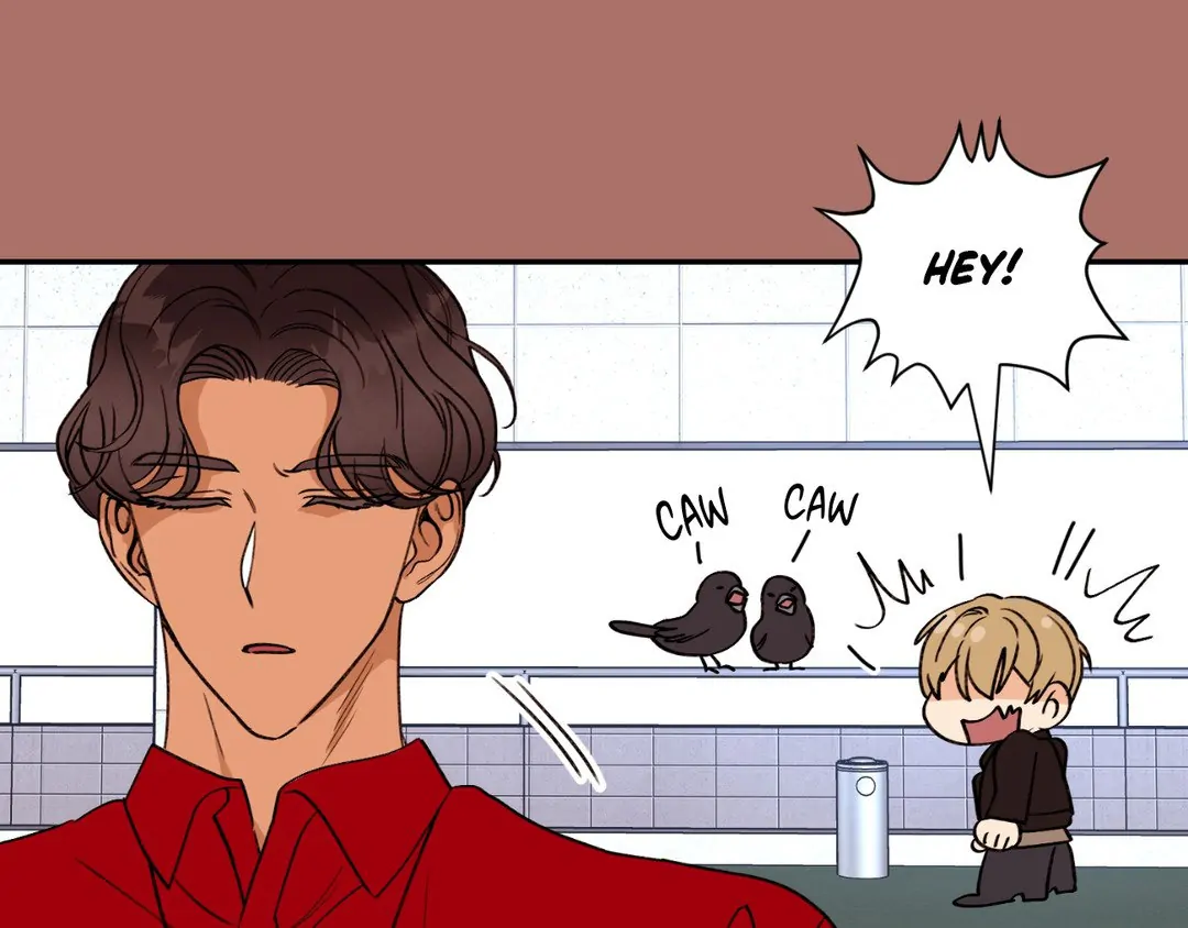 Dreaminess [Official] - Chapter 12 manhwa
