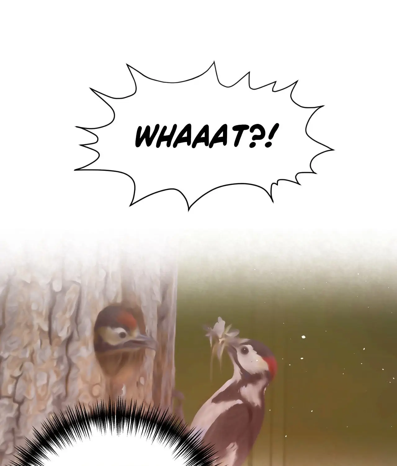 Dreaminess [Official] - Chapter 37 manhwa