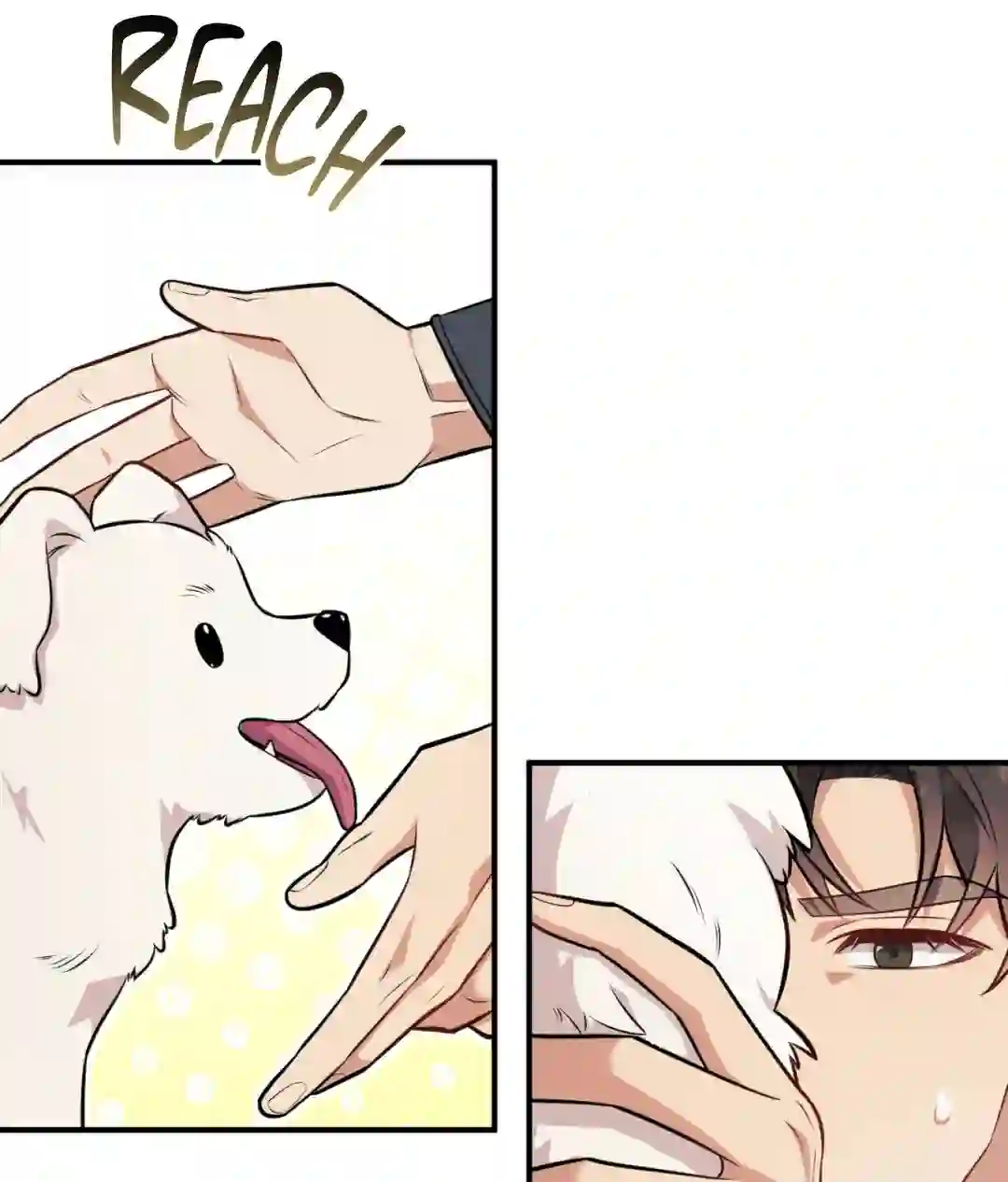 A Loyal Dog [Official] - Chapter 1 manhwa