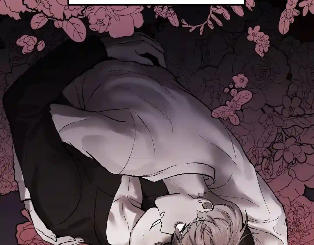 My Dearest Misery [Official] - Chapter 1 manhwa