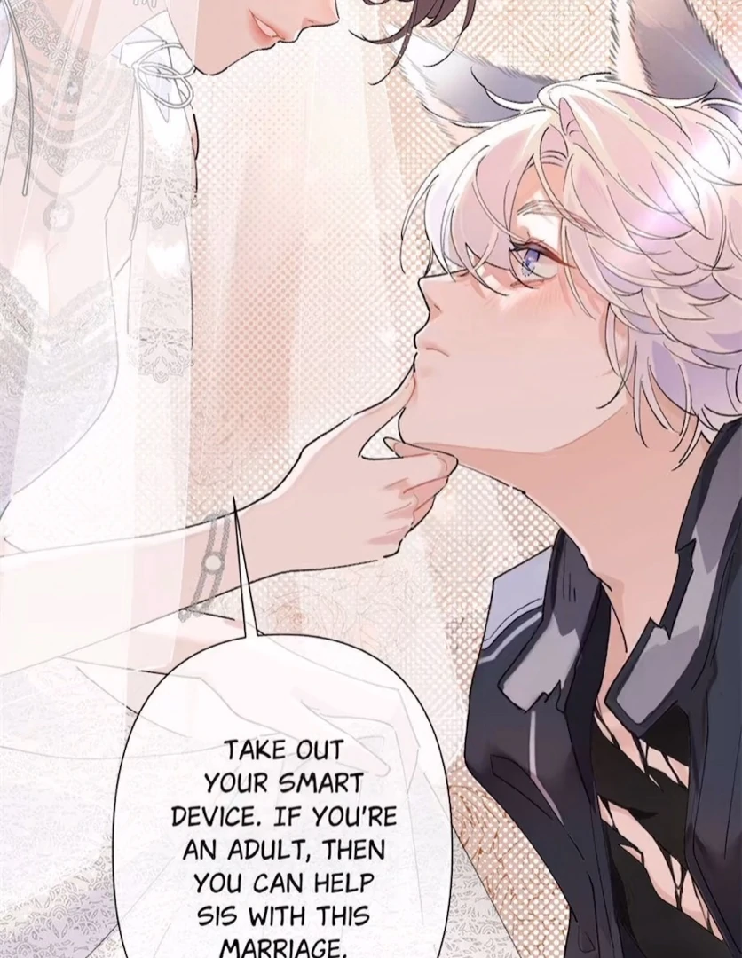 Pampering My Beast Commander (Official) - Chapter 2 manhwa