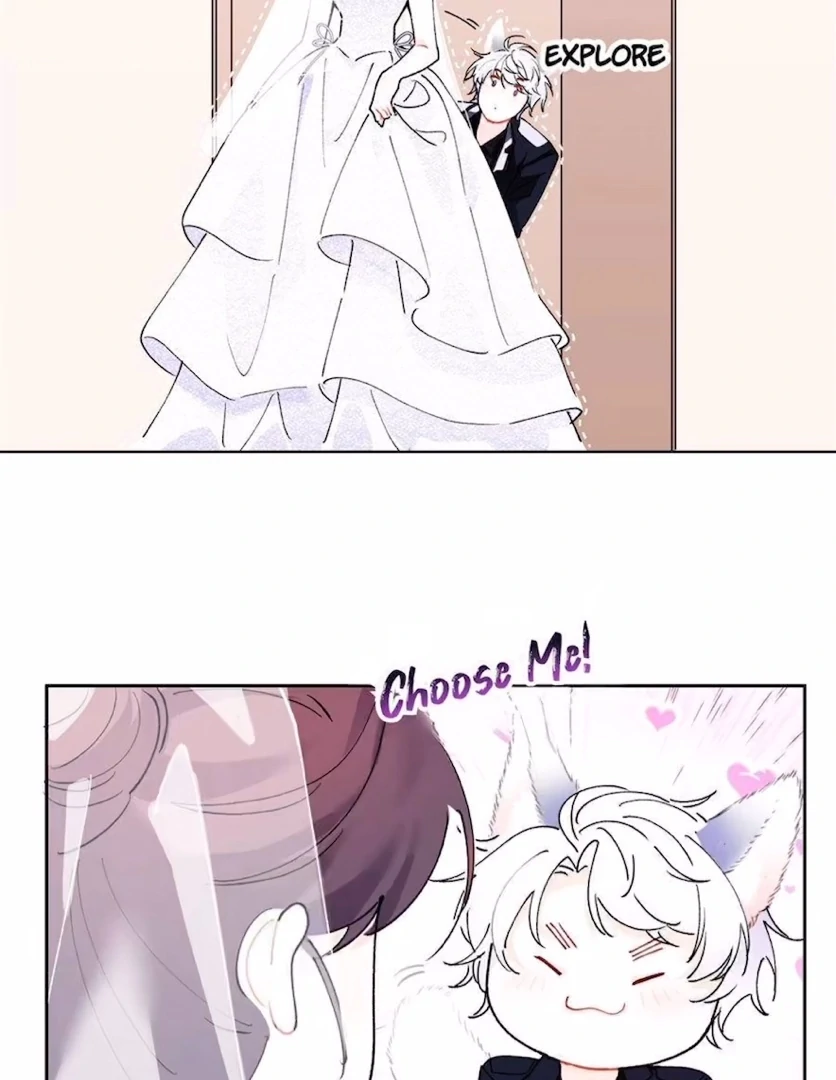 Pampering My Beast Commander (Official) - Chapter 2 manhwa