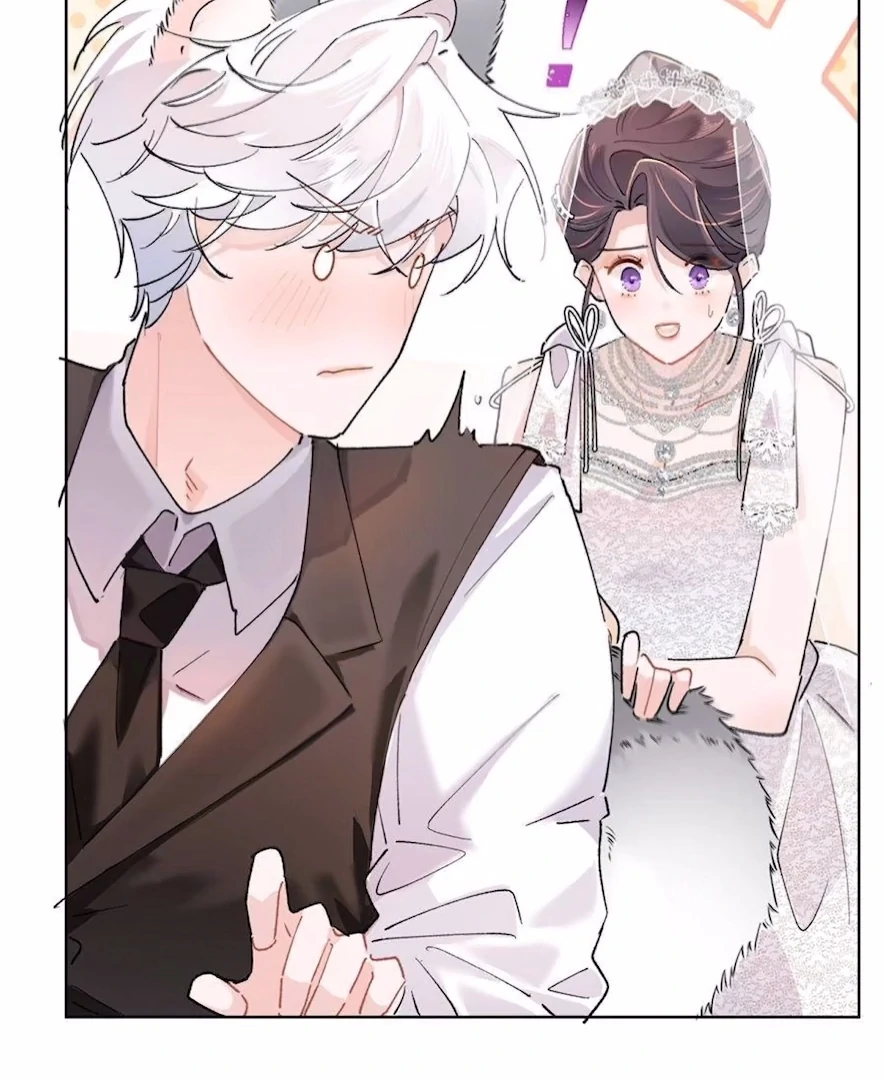 Pampering My Beast Commander (Official) - Chapter 3 manhwa