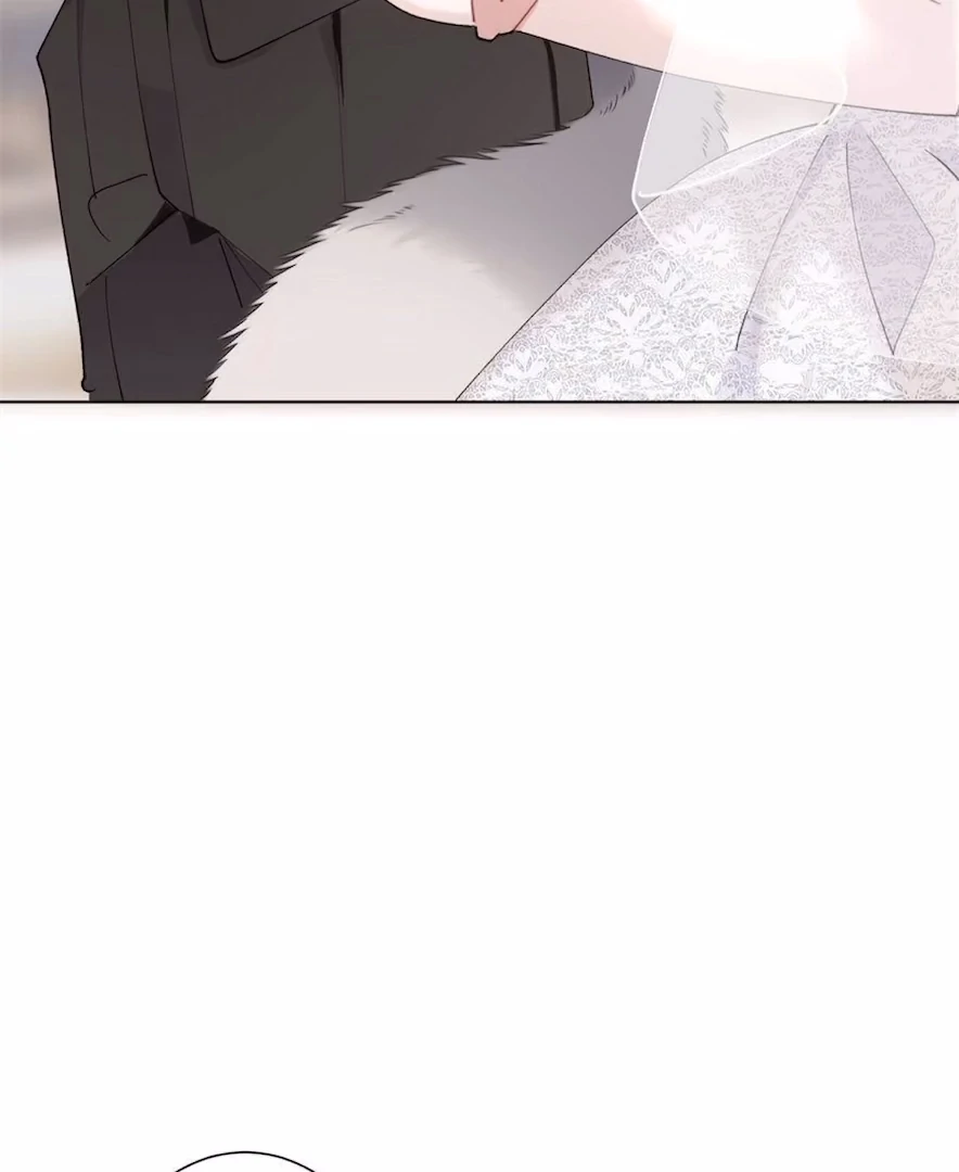 Pampering My Beast Commander (Official) - Chapter 3 manhwa