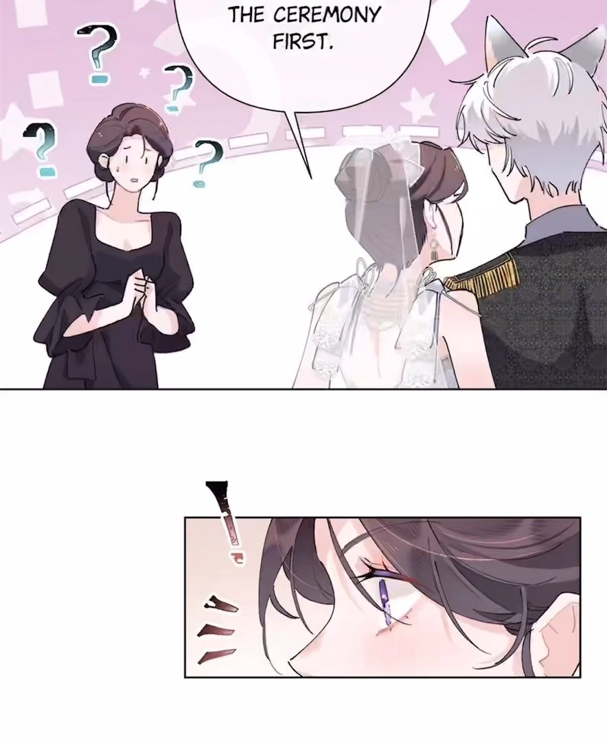 Pampering My Beast Commander (Official) - Chapter 4 manhwa