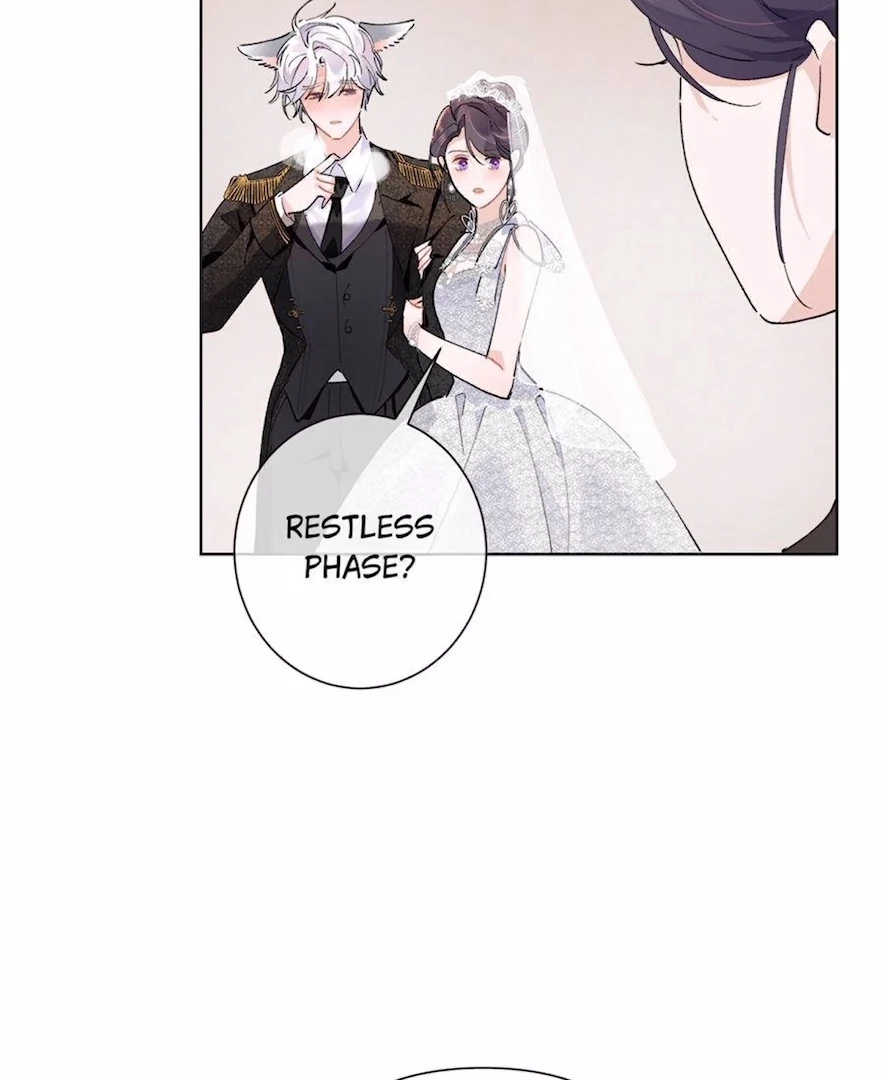 Pampering My Beast Commander (Official) - Chapter 4 manhwa
