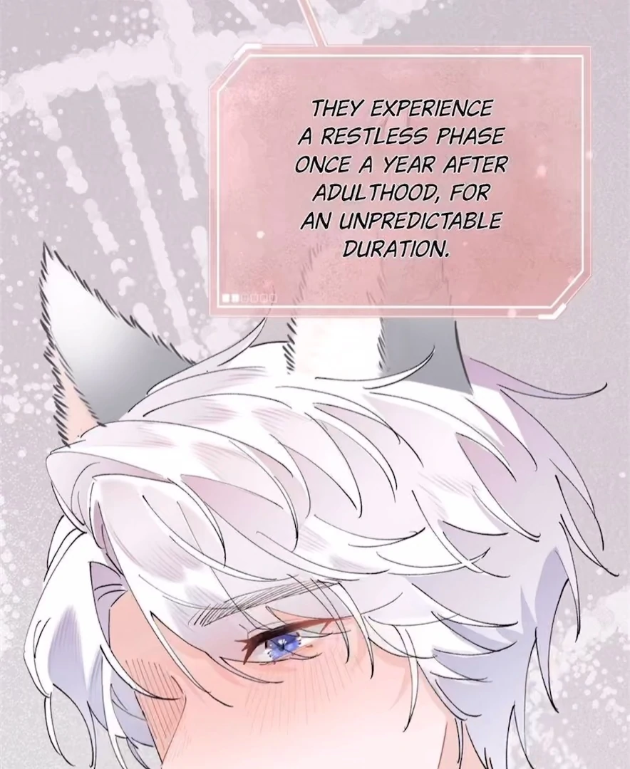 Pampering My Beast Commander (Official) - Chapter 4 manhwa