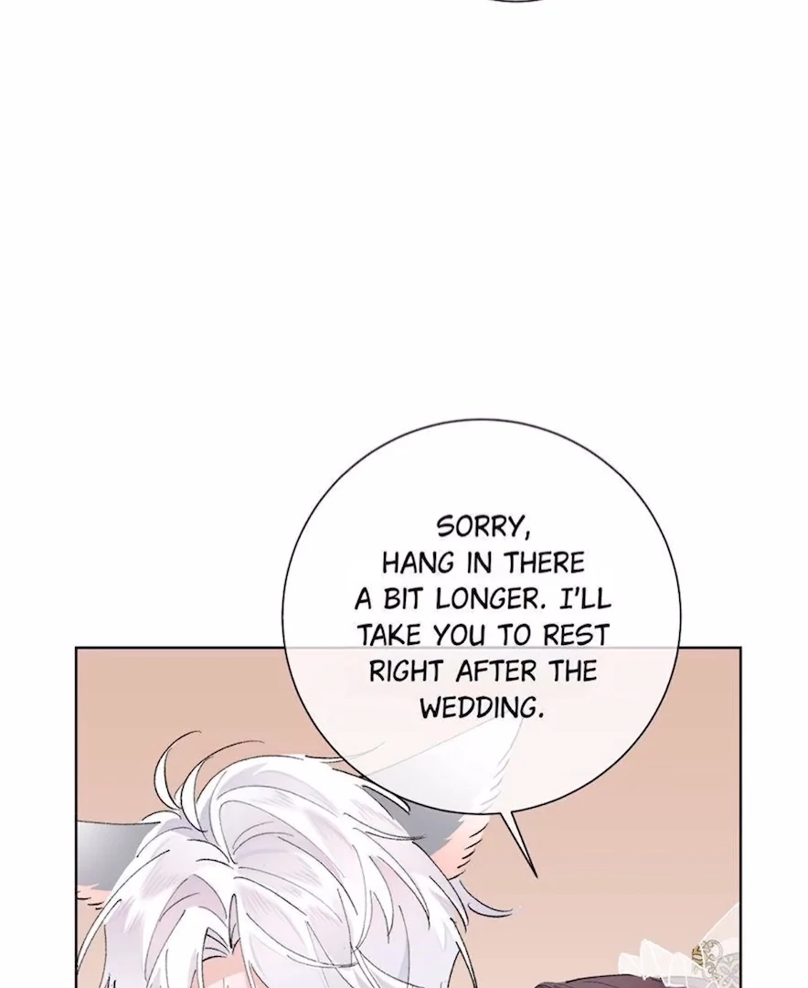 Pampering My Beast Commander (Official) - Chapter 4 manhwa