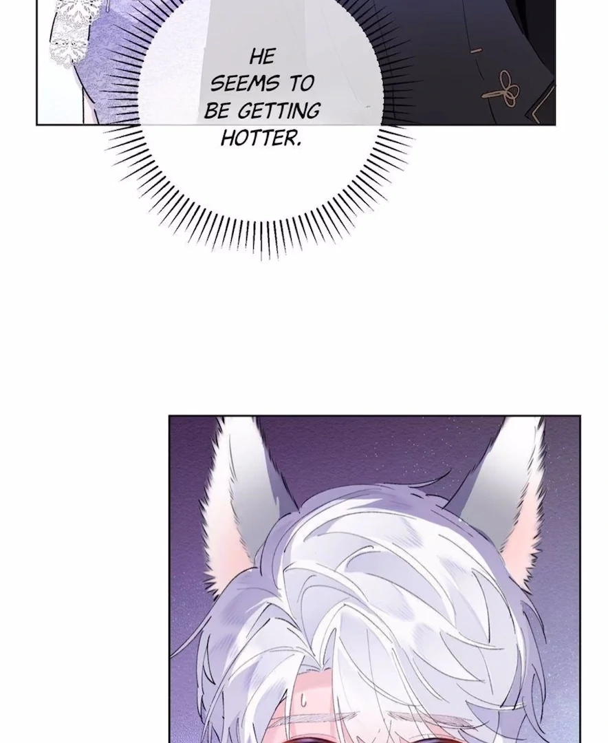 Pampering My Beast Commander (Official) - Chapter 4 manhwa