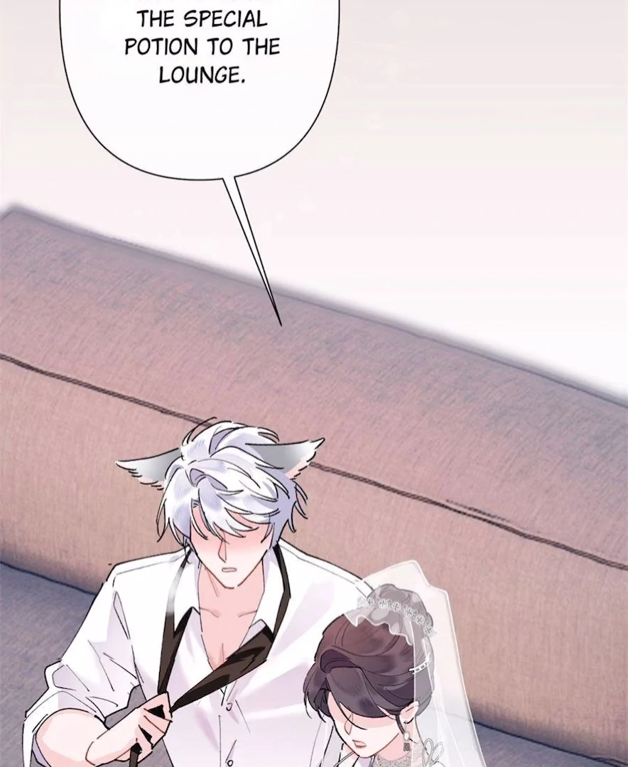 Pampering My Beast Commander (Official) - Chapter 4 manhwa
