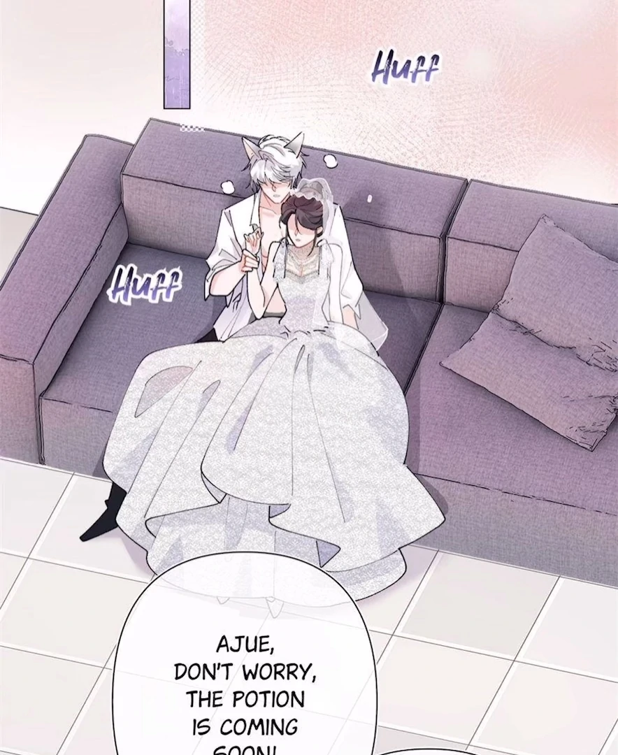 Pampering My Beast Commander (Official) - Chapter 5 manhwa