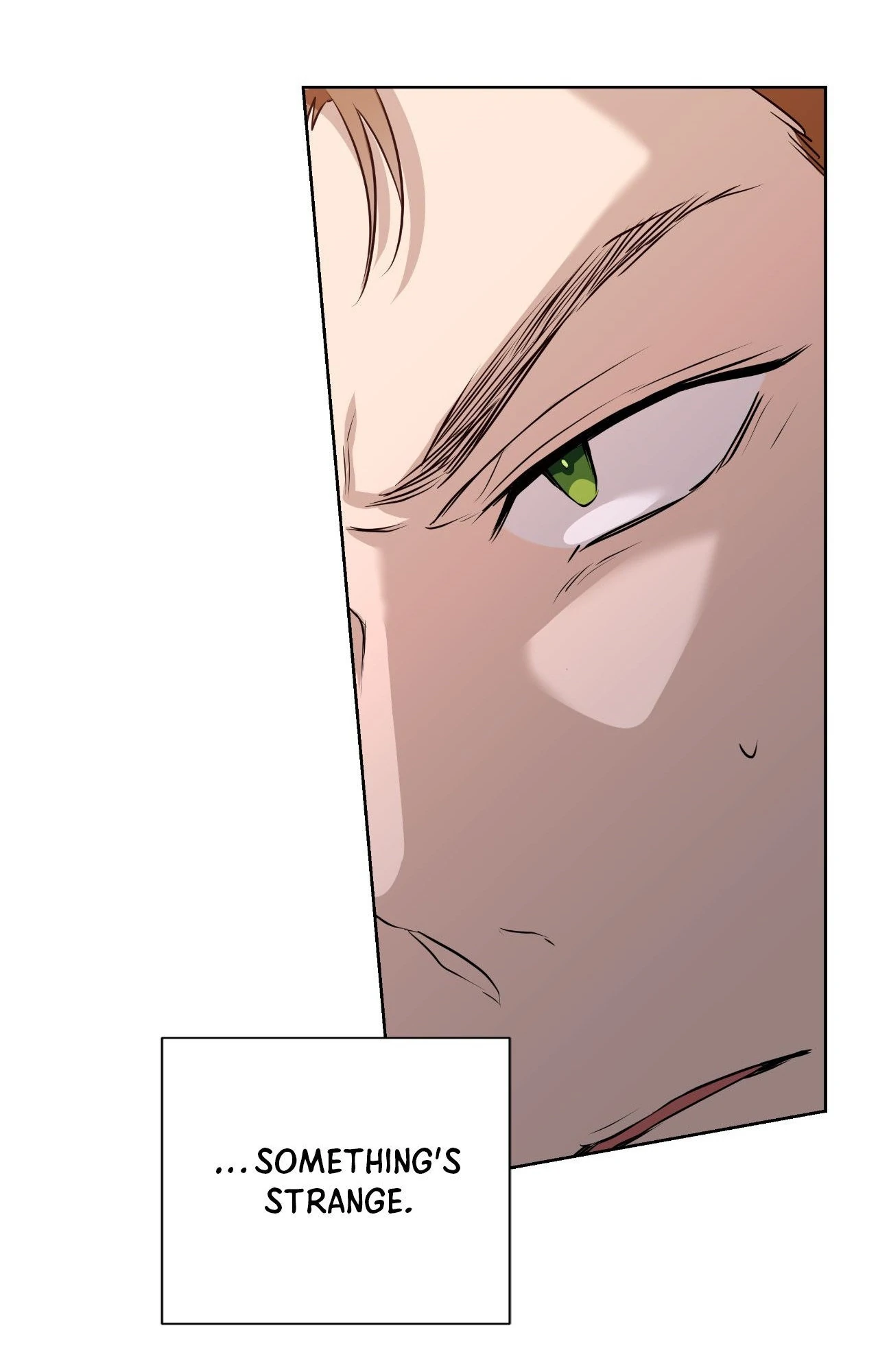 My Perfect Omega - Chapter 14 manhwa