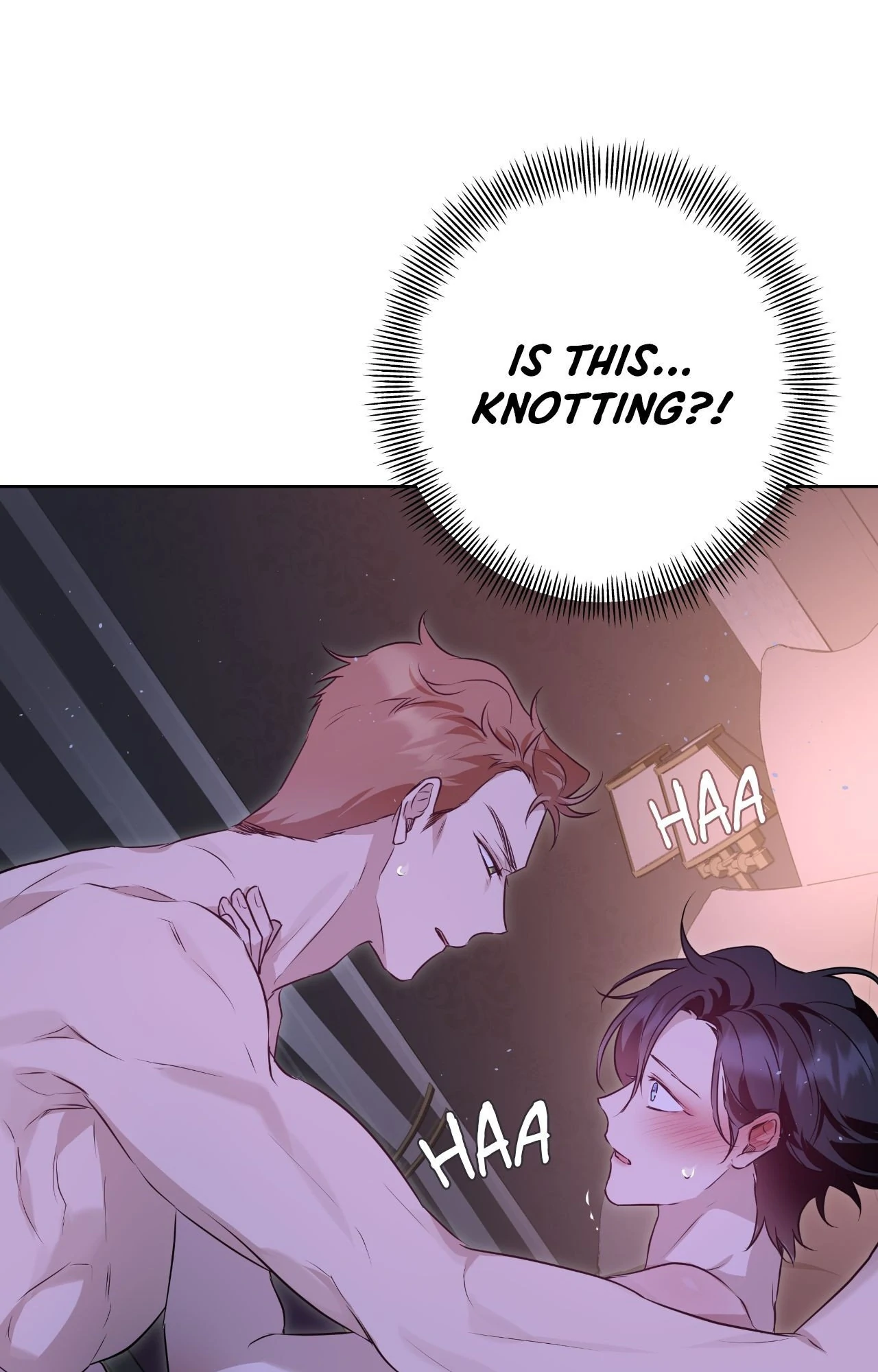 My Perfect Omega - Chapter 6 manhwa