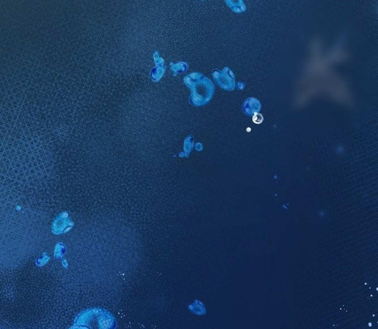 Mermaid Master’s Diary - Chapter 1: Arthur 🔞 manhwa