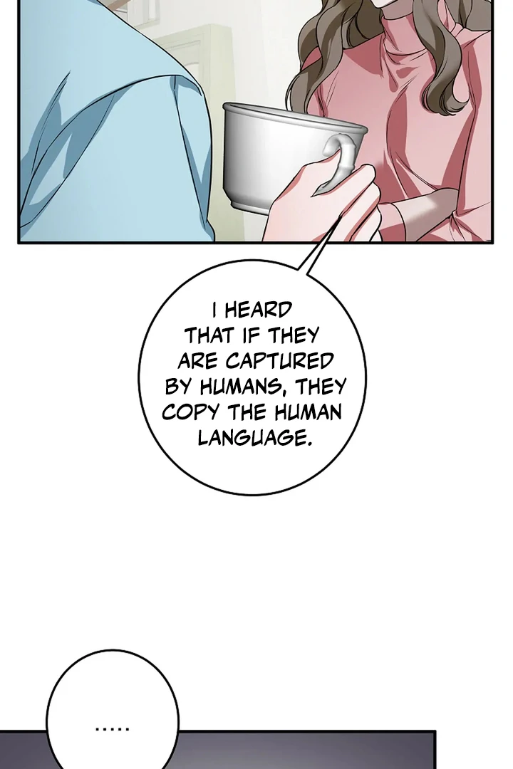 Mermaid Master’s Diary - Chapter 3 manhwa