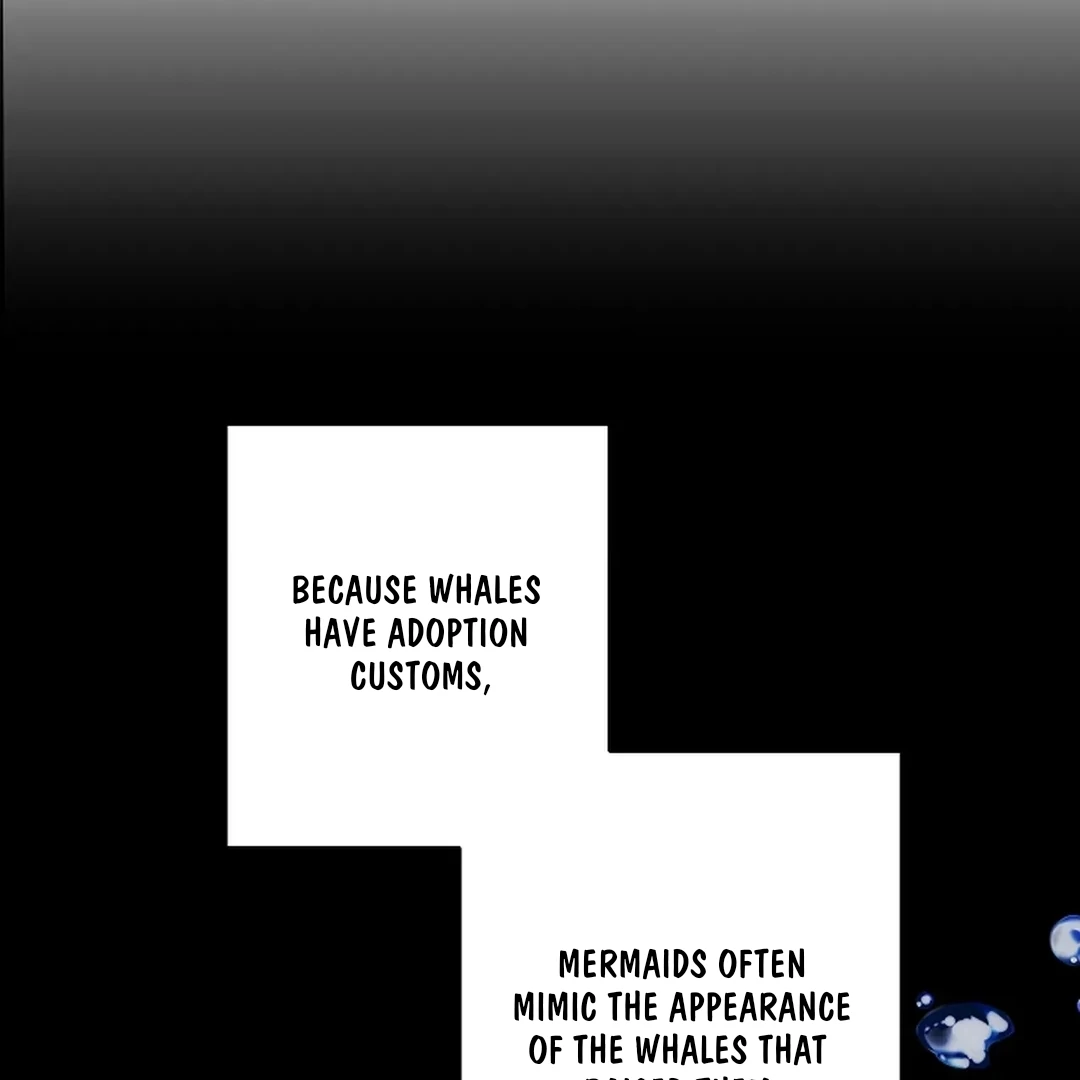 Mermaid Master’s Diary - Chapter 5 manhwa