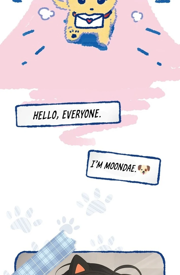 Debut Or Die [Season 3] - Chapter 79 manhwa