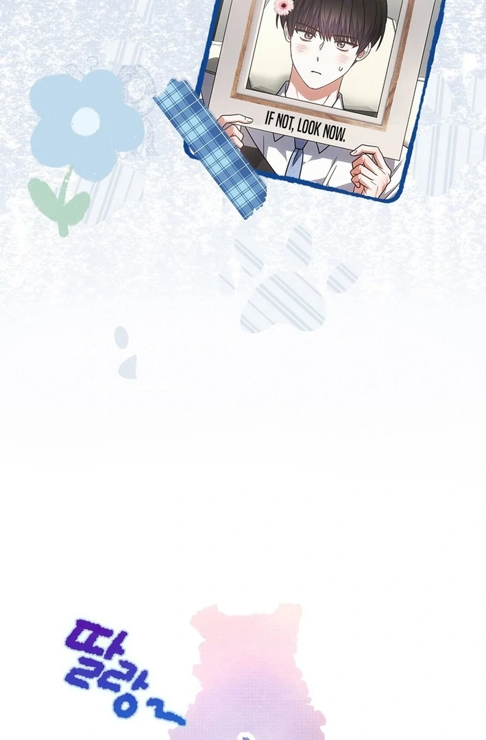 Debut Or Die [Season 3] - Chapter 79 manhwa