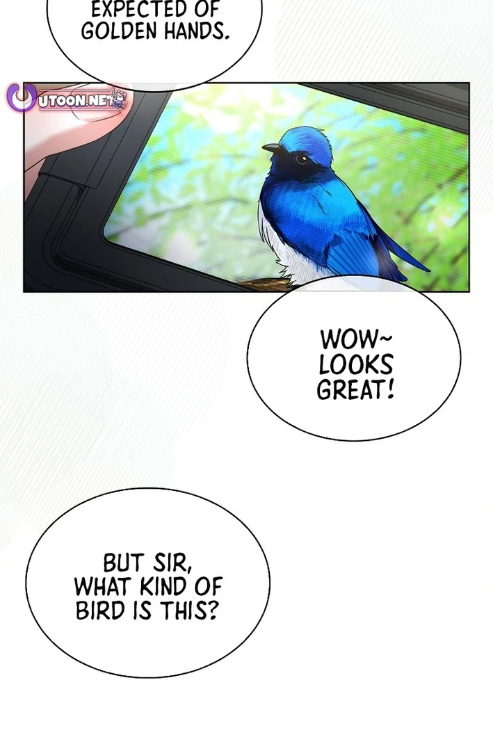 Debut Or Die [Season 3] - Chapter 80 manhwa