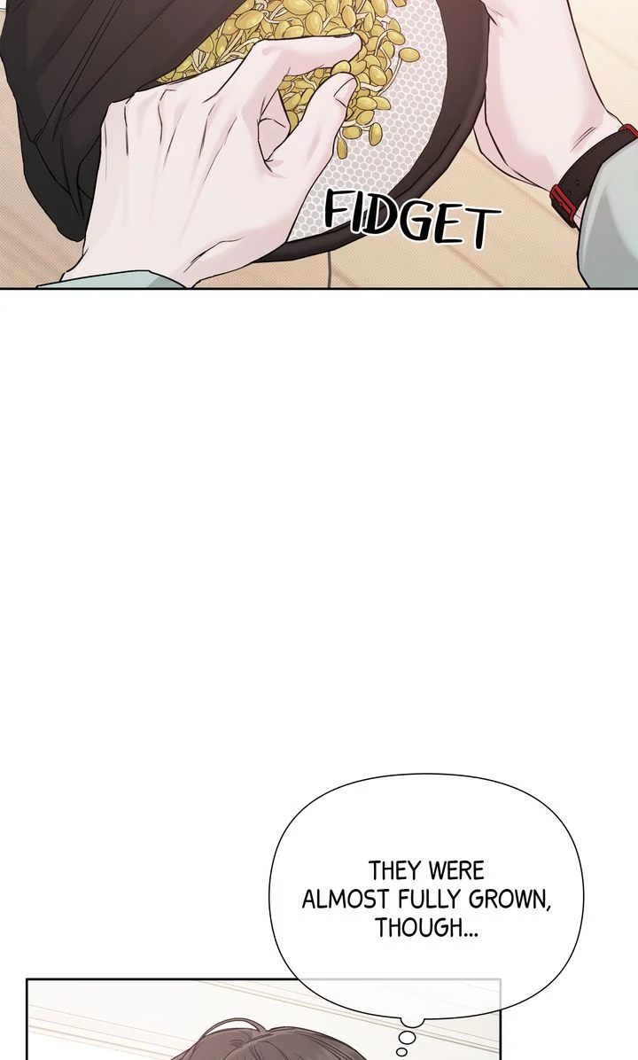 Stranger [Mature Official] - Bonus Episode 4 manhwa
