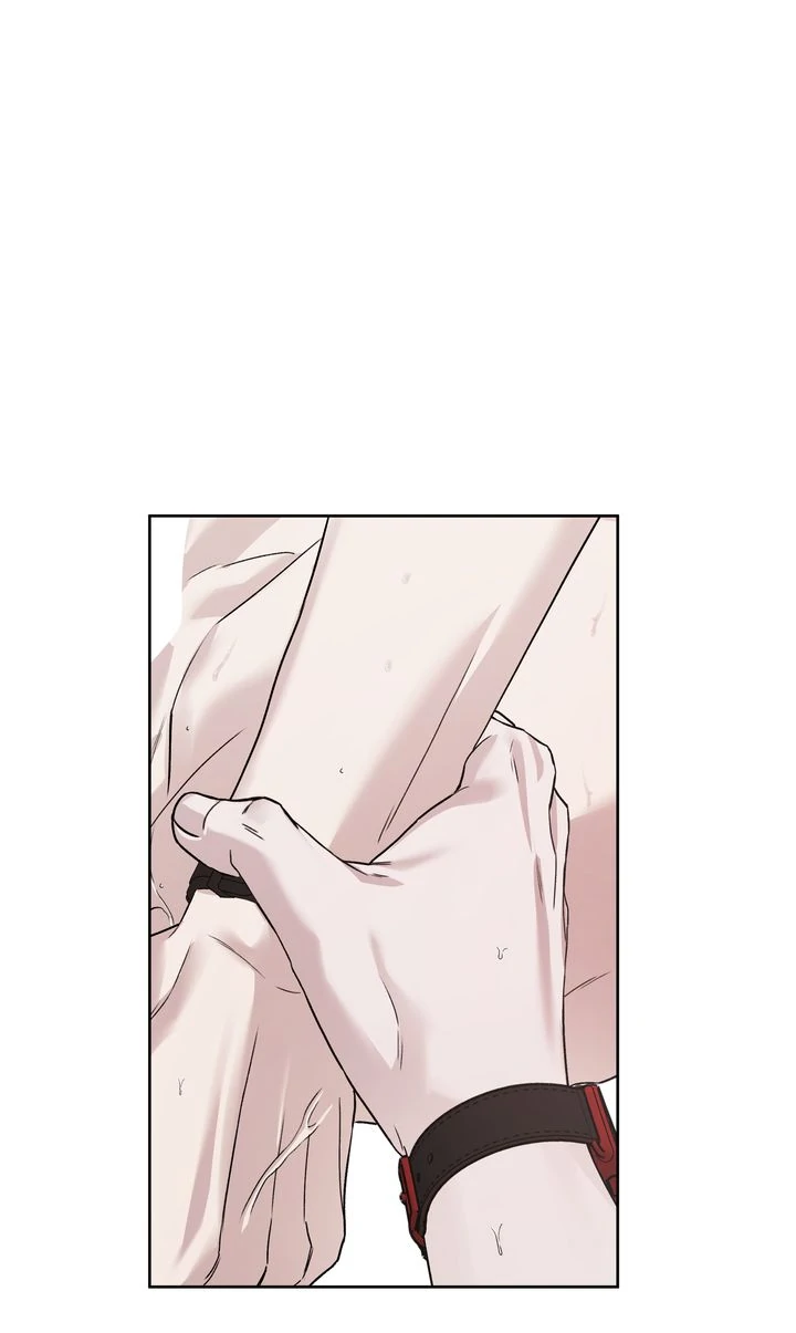Stranger [Mature Official] - Bonus Episode 6 manhwa