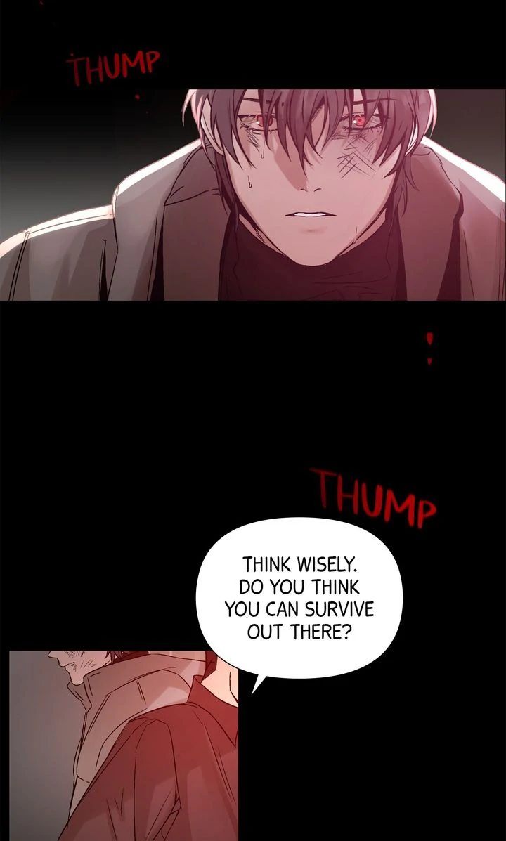 Stranger [Mature Official] - Chapter 1 manhwa