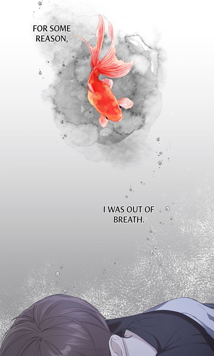Stranger [Mature Official] - Chapter 10 manhwa