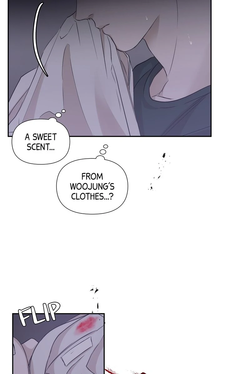 Stranger [Mature Official] - Chapter 11 manhwa