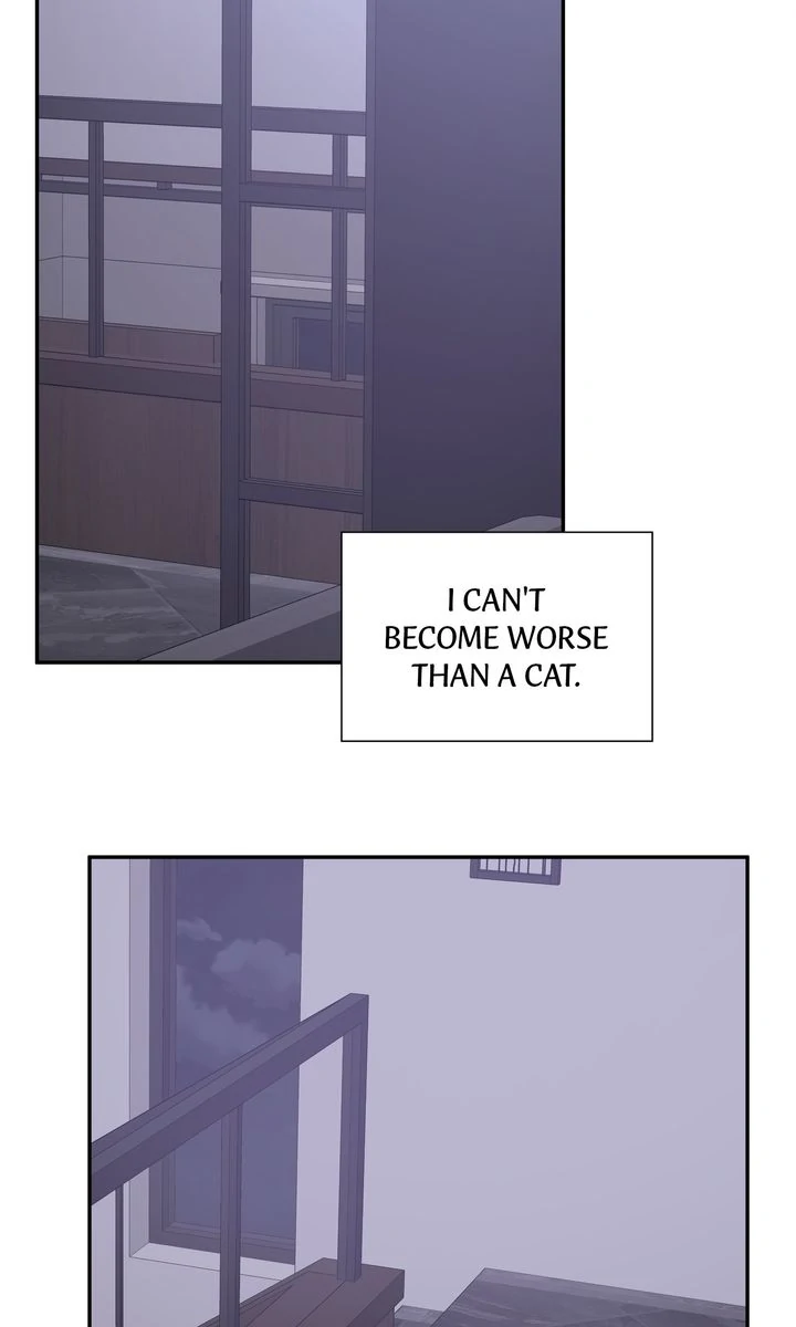 Stranger [Mature Official] - Chapter 16 manhwa