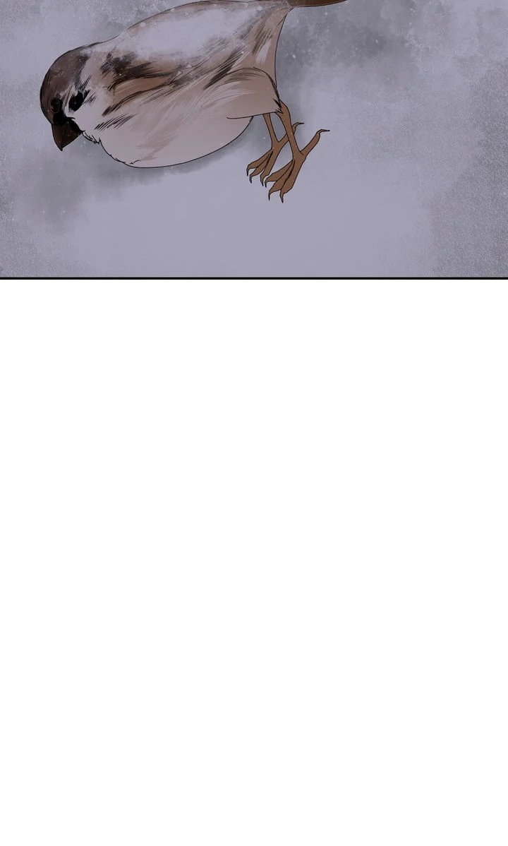 Stranger [Mature Official] - Chapter 20 manhwa