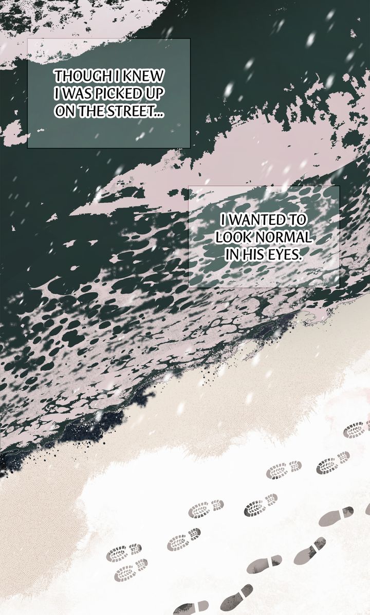Stranger [Mature Official] - Chapter 38 manhwa