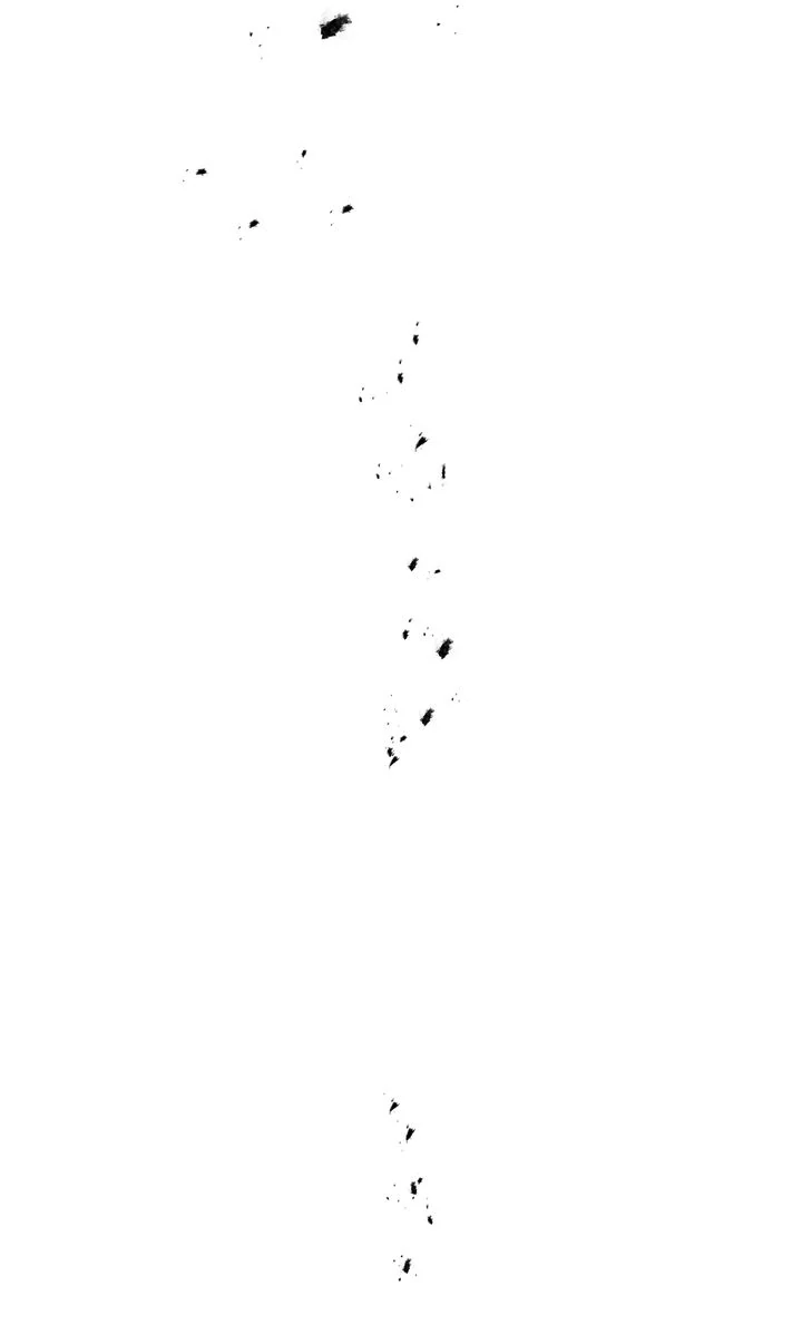 Stranger [Mature Official] - Chapter 50 manhwa