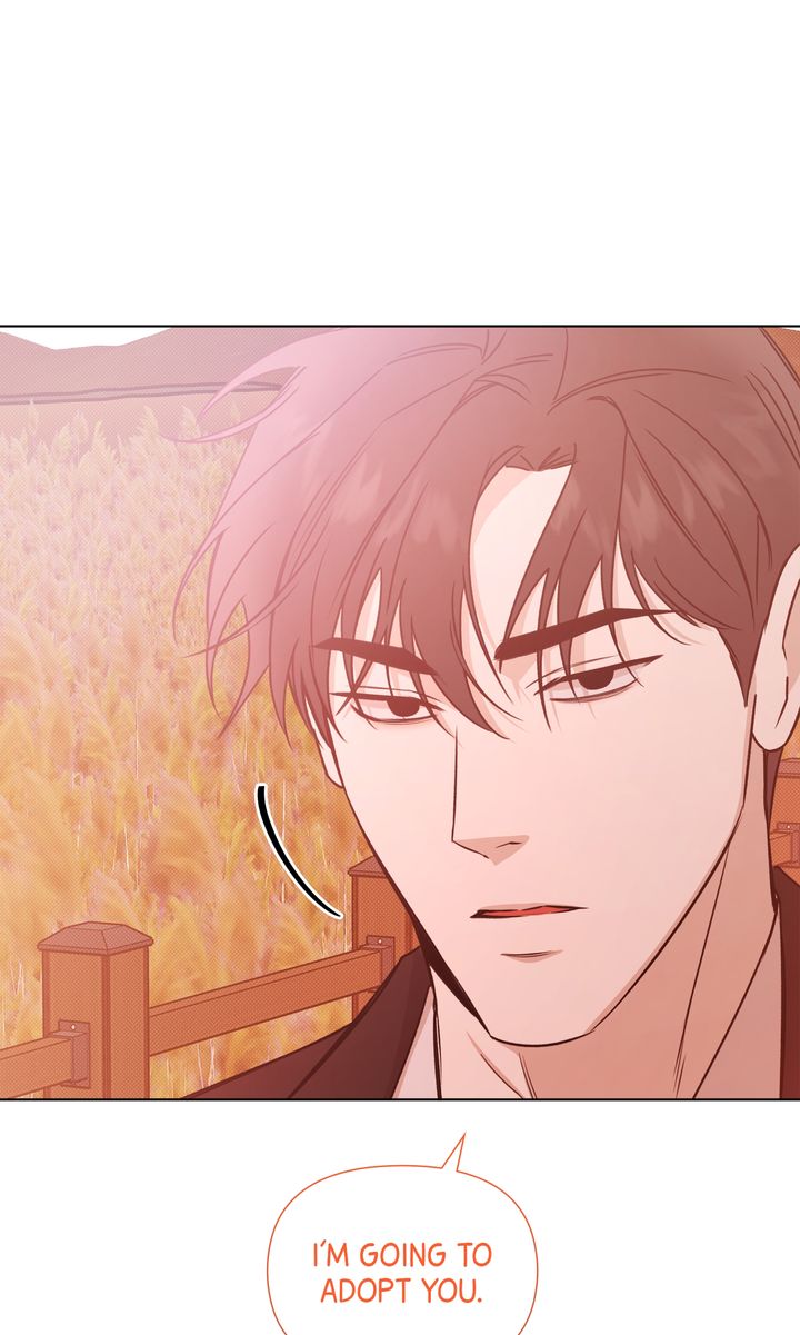 Stranger [Mature Official] - The End [Of the Main Story] manhwa
