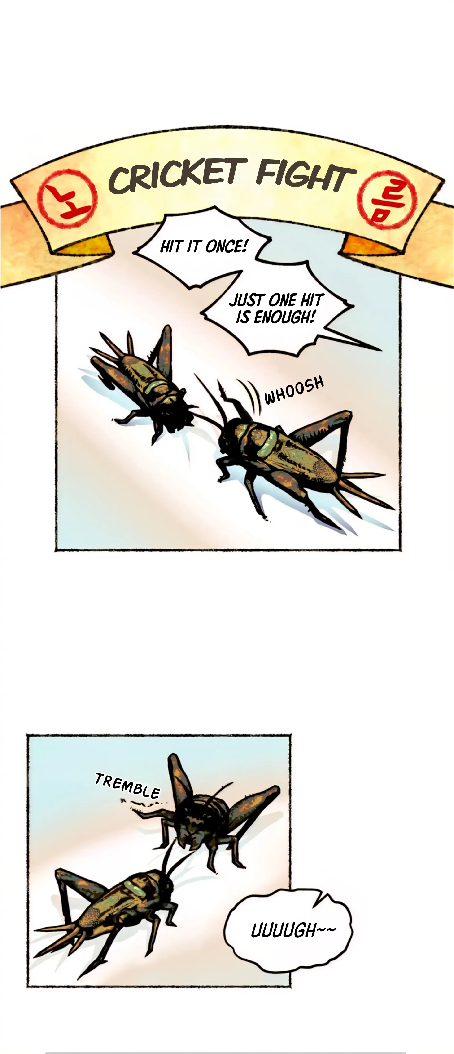 The Royal Bridegroom - Chapter 14 manhwa
