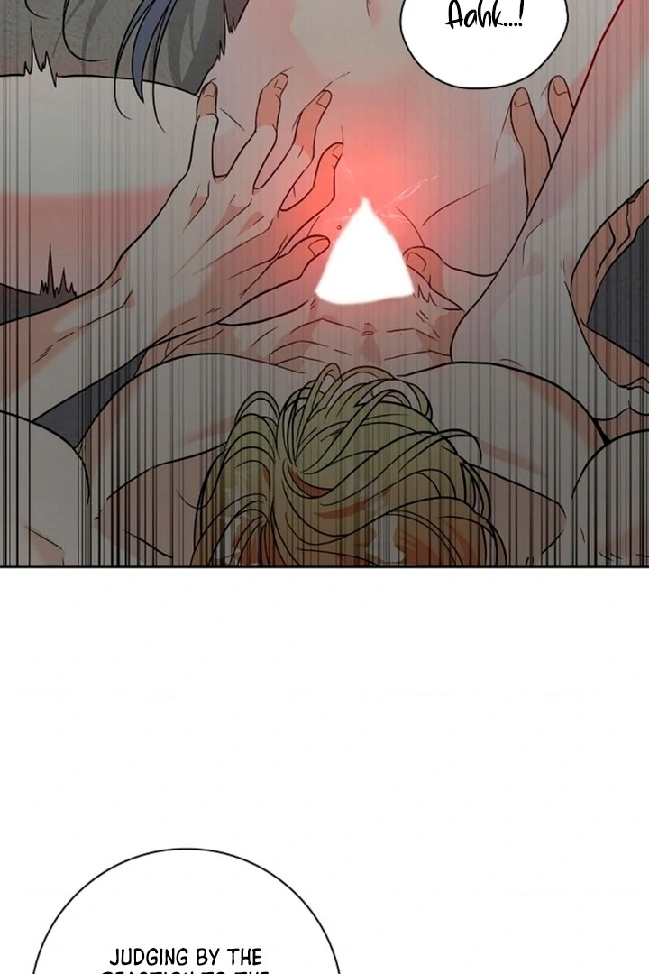 The Saintess’s Petals Become Wet [+19] [Luna Toons] - Chapter 02 - S1 manhwa