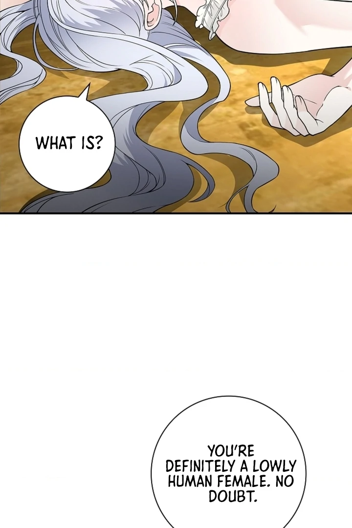 The Saintess’s Petals Become Wet [+19] [Luna Toons] - Chapter 17 - S1 manhwa