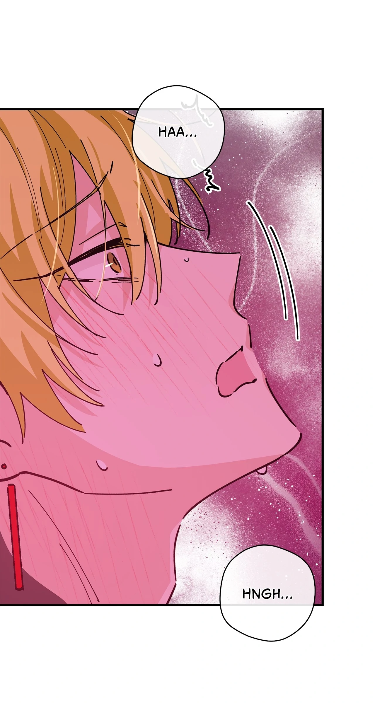 Miss Who Swallowed a Mage [Mature] - Chapter 16 manhwa