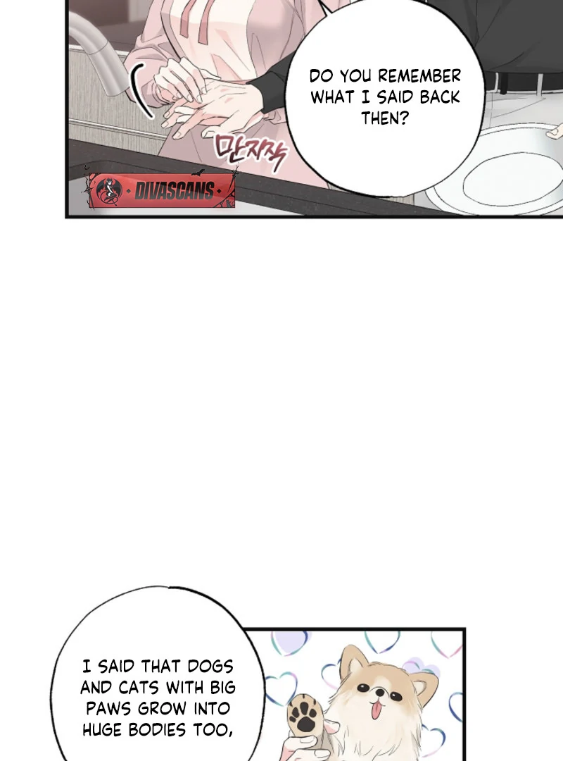 The Four Of Us Have A 0 Chon Relationship (Diva Scans) - Chapter 3 manhwa