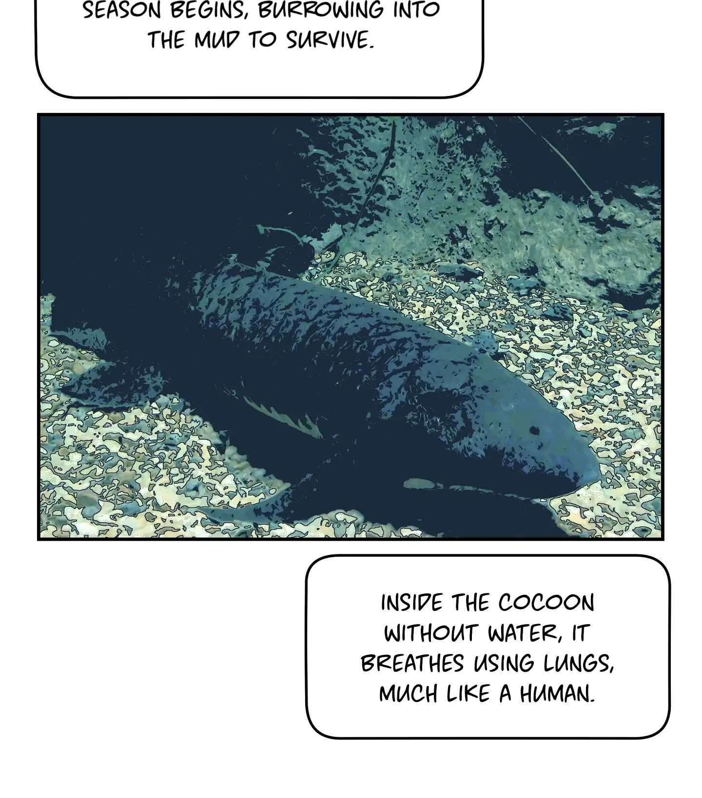 Emergency! Youth Record Book - Chapter 12 manhwa