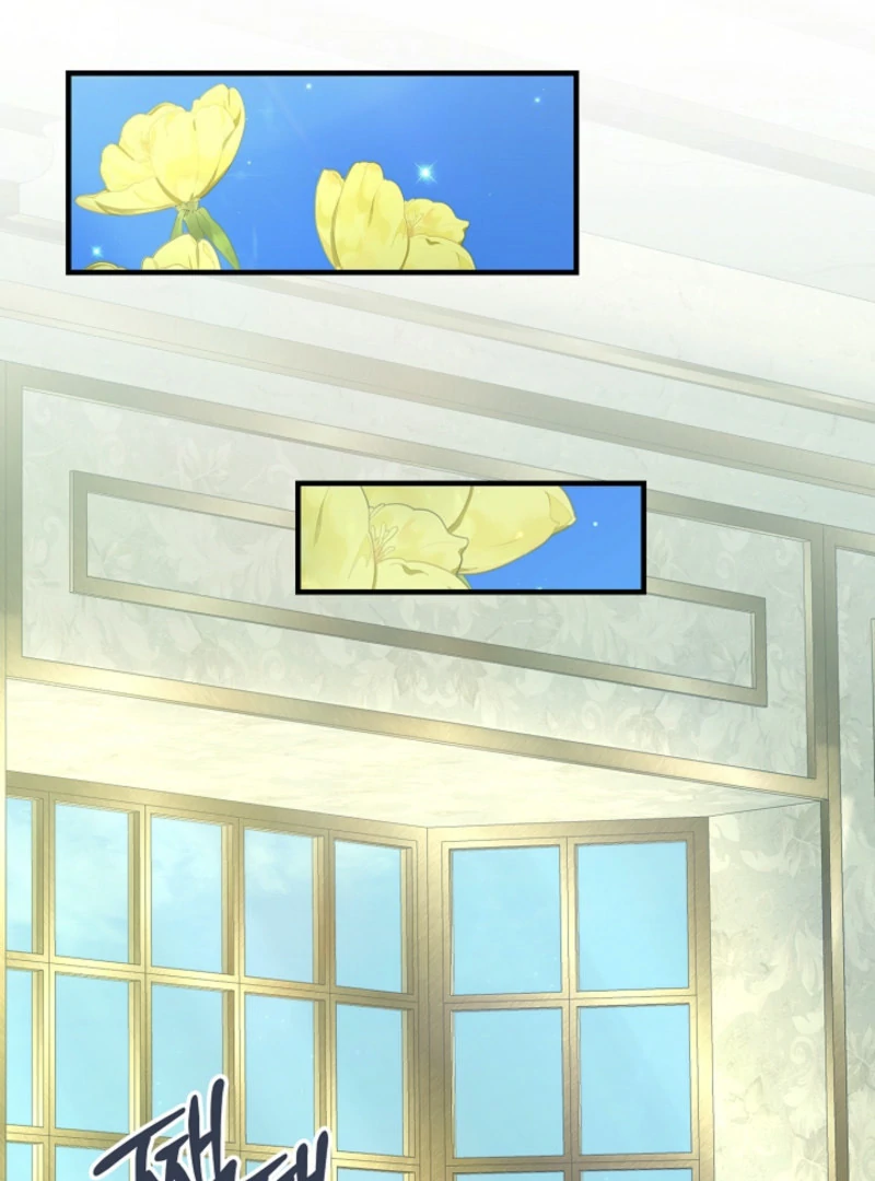 There’s no way I’d be satisfied with a rabbit husband! (Diva Scans) - Chapter 10 manhwa