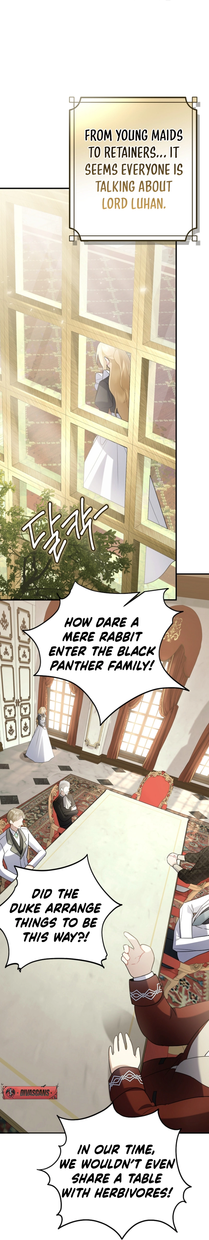 There’s no way I’d be satisfied with a rabbit husband! (Diva Scans) - Chapter 11 manhwa