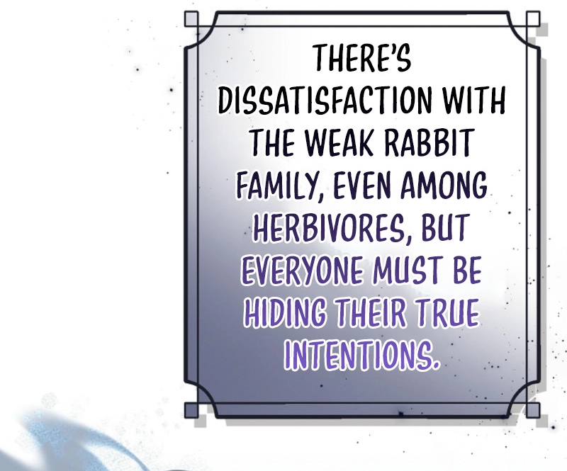 There’s no way I’d be satisfied with a rabbit husband! (Diva Scans) - Chapter 11 manhwa
