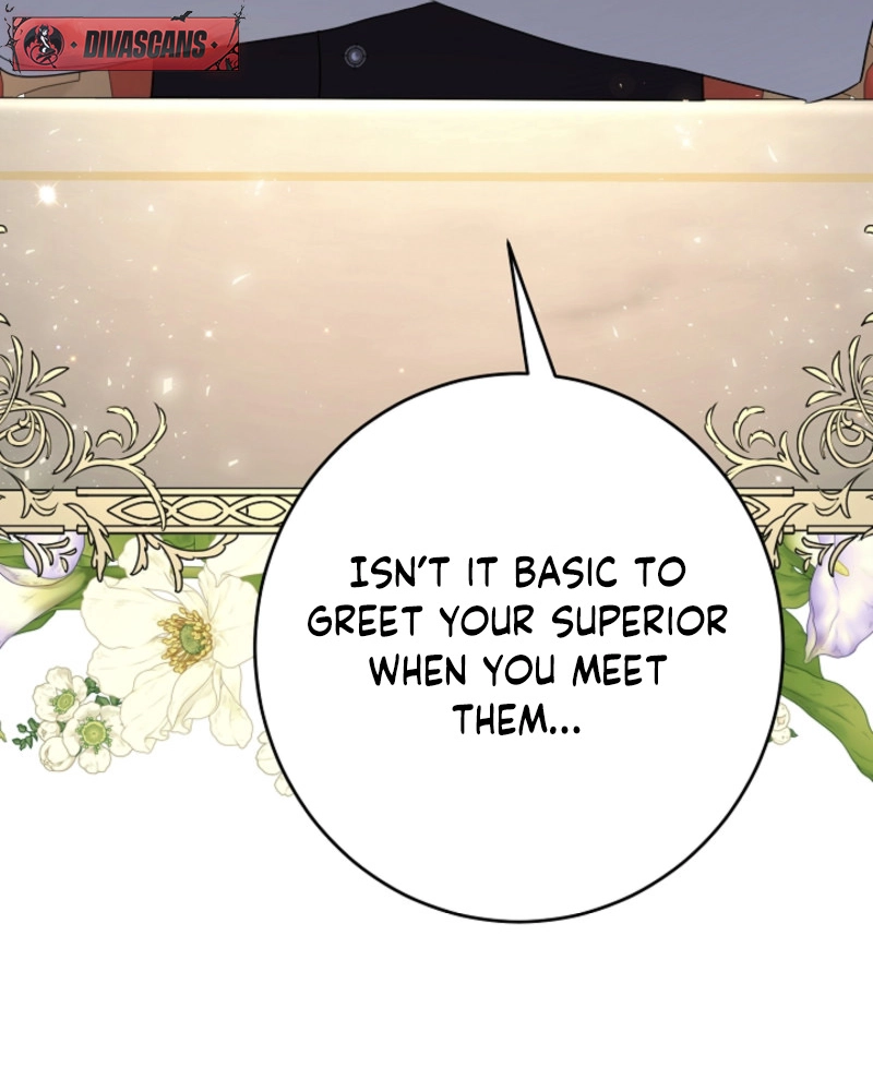 There’s no way I’d be satisfied with a rabbit husband! (Diva Scans) - Chapter 11 manhwa