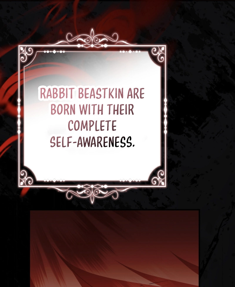 There’s no way I’d be satisfied with a rabbit husband! (Diva Scans) - Chapter 11 manhwa