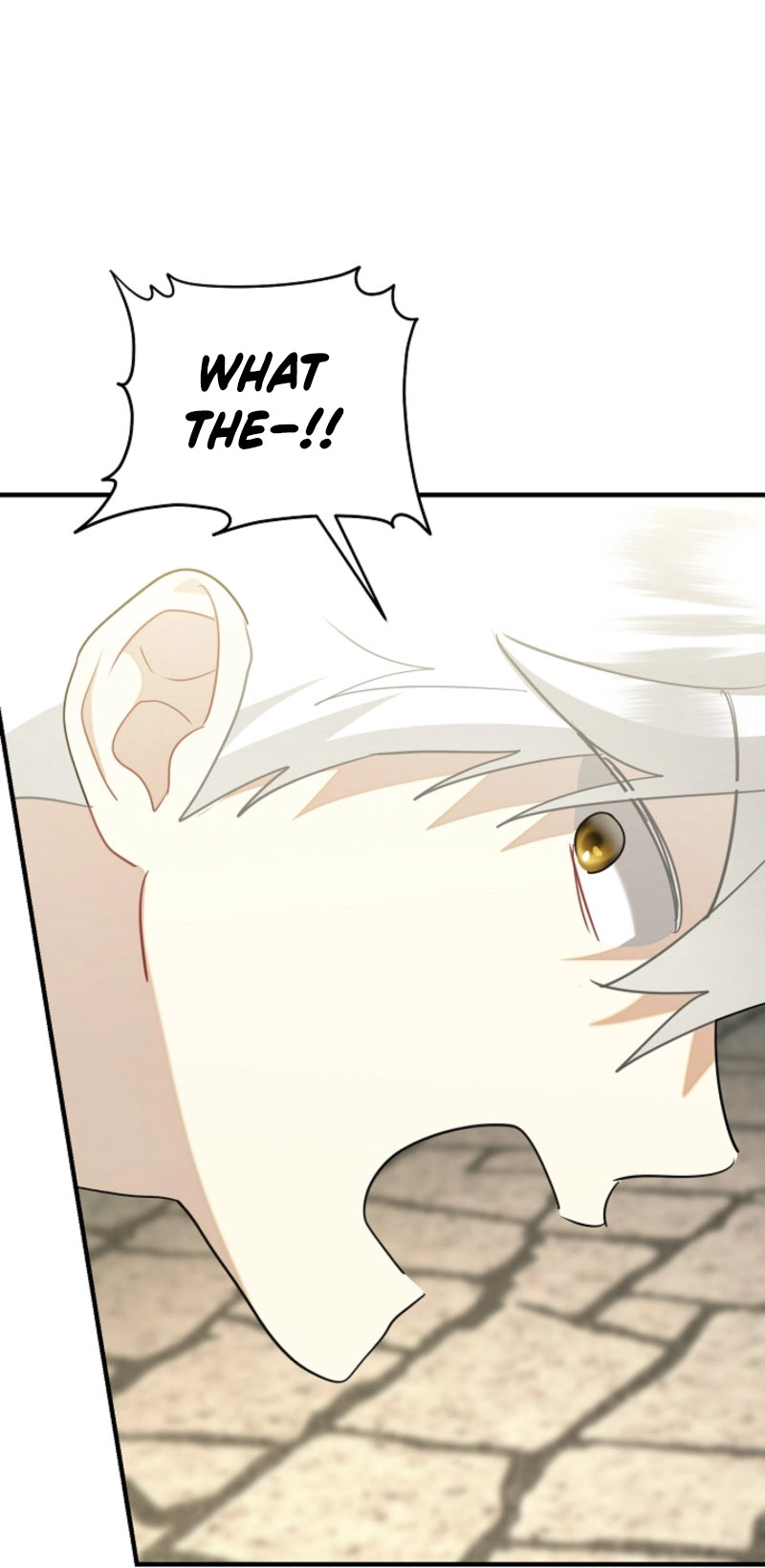 There’s no way I’d be satisfied with a rabbit husband! (Diva Scans) - Chapter 12 manhwa