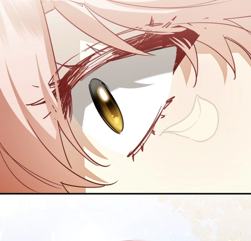 There’s no way I’d be satisfied with a rabbit husband! (Diva Scans) - Chapter 12 manhwa