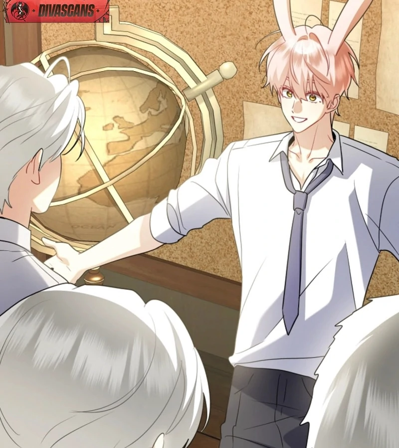 There’s no way I’d be satisfied with a rabbit husband! (Diva Scans) - Chapter 13 manhwa