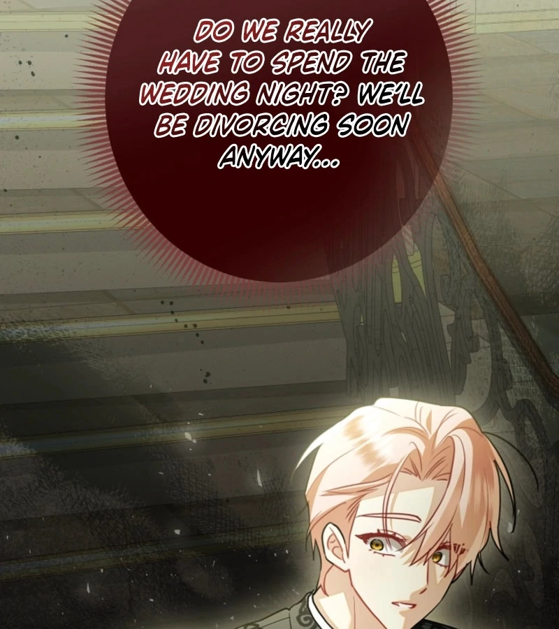 There’s no way I’d be satisfied with a rabbit husband! (Diva Scans) - Chapter 13 manhwa