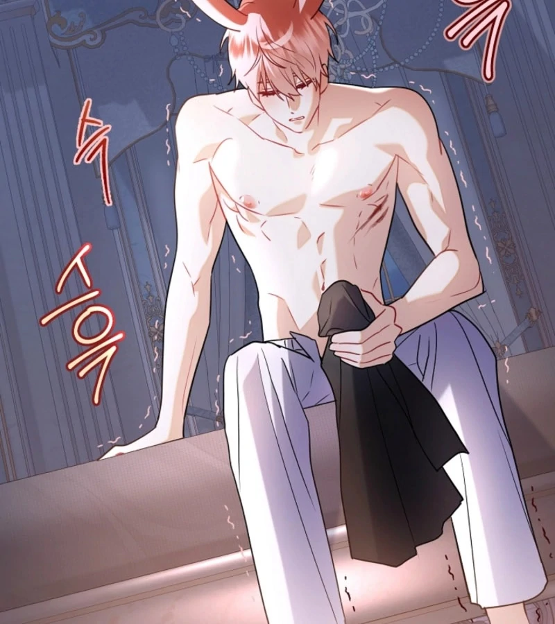 There’s no way I’d be satisfied with a rabbit husband! (Diva Scans) - Chapter 14 manhwa